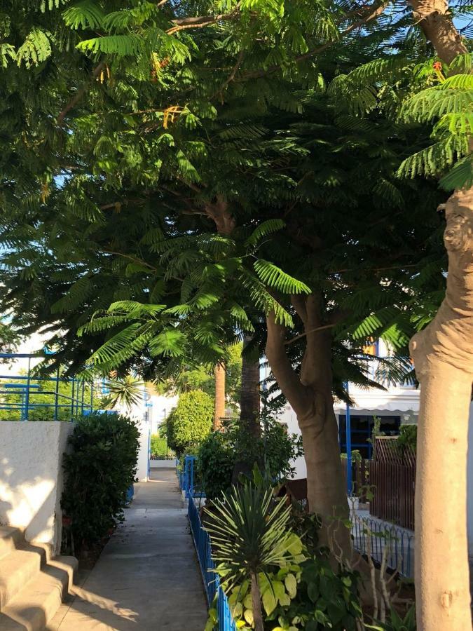 Bungalow Playmar Πλάγια ντελ Ινγκλές Εξωτερικό φωτογραφία